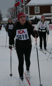 Skärmavbild 2015-06-24 kl. 10.41.59