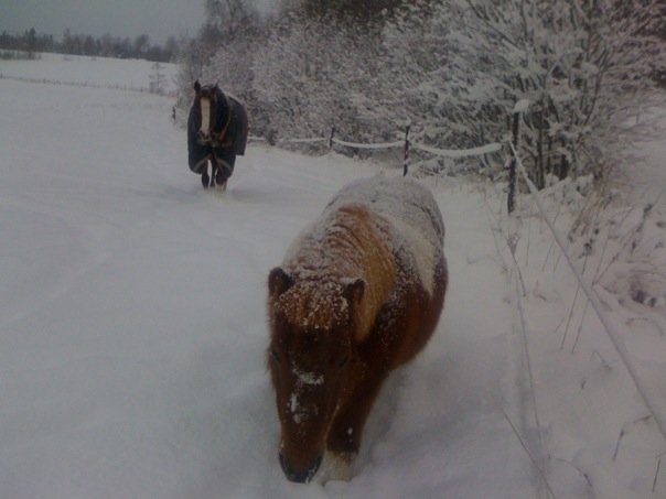 1917045_1281143262363_3774806_n