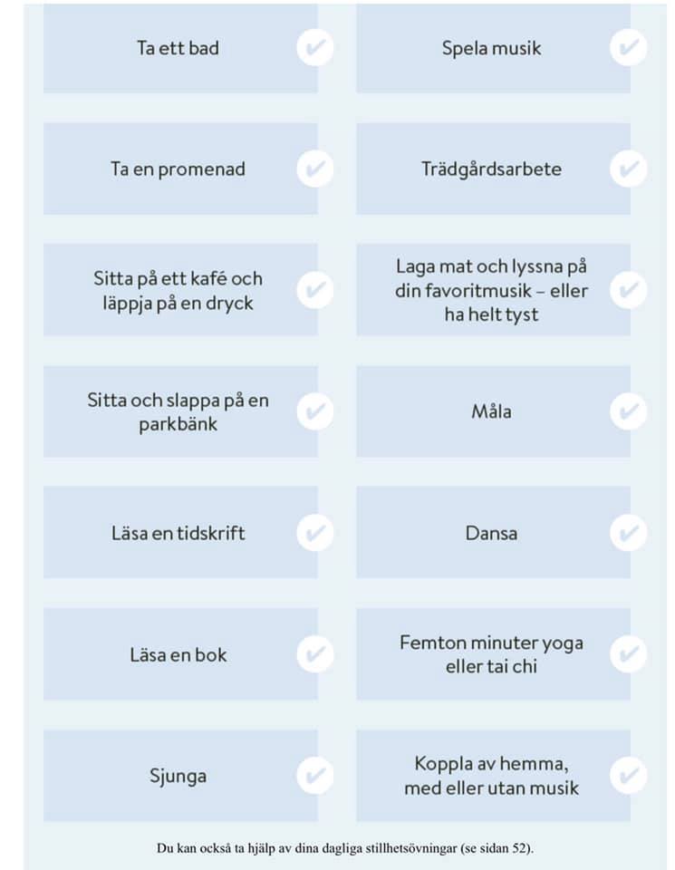 52020587_10216596513398972_1271187788494012416_n