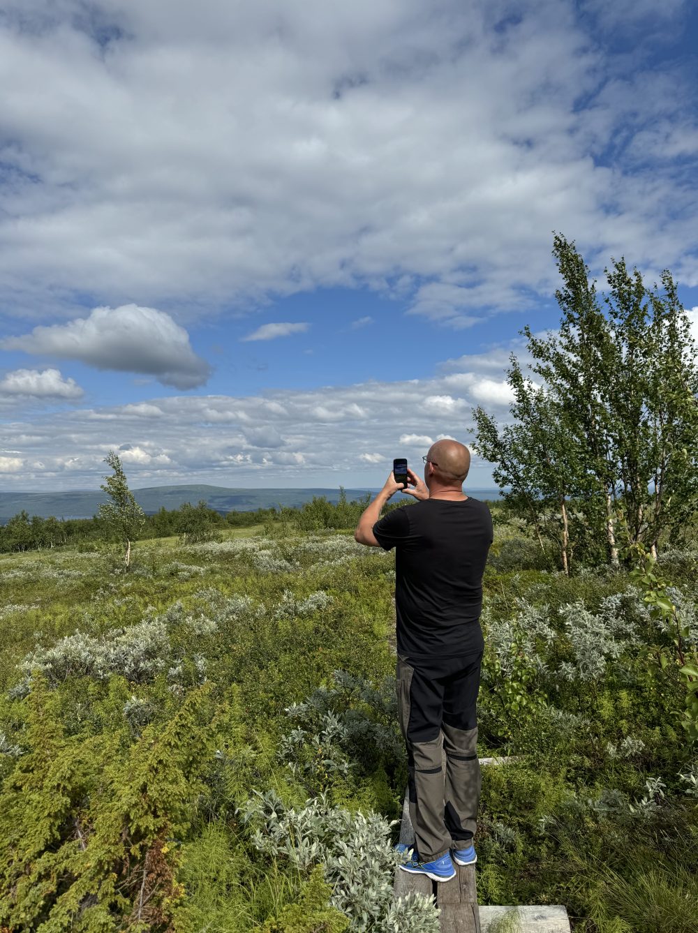 Pieljekaise Nationalpark